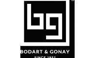 logo bg